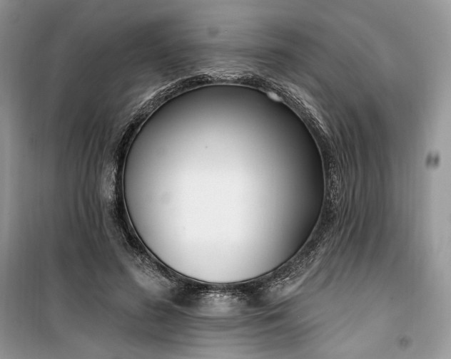 X0000099520596200805291213