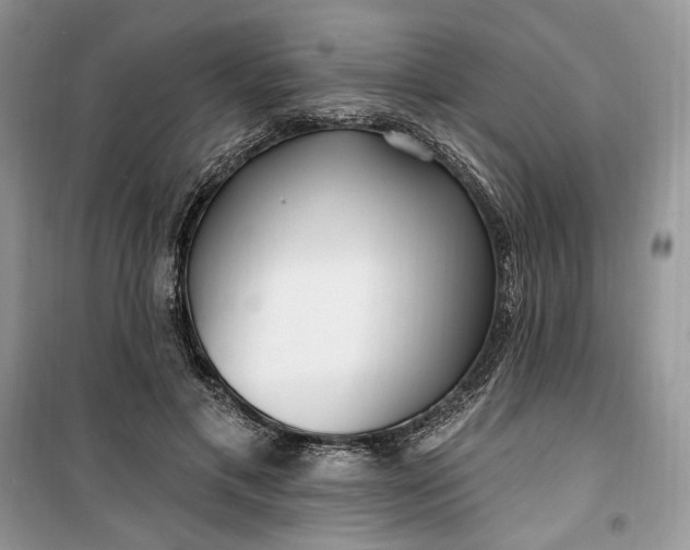 X0000099520597200805291213