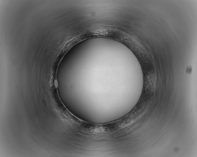 X0000099520600200805291213