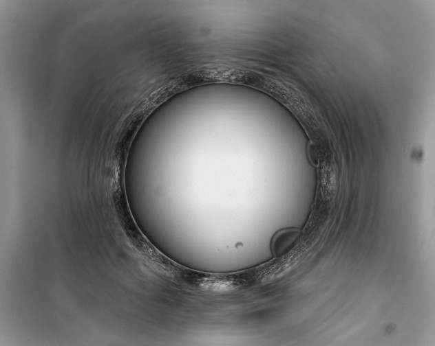 X0000099520602200805291213