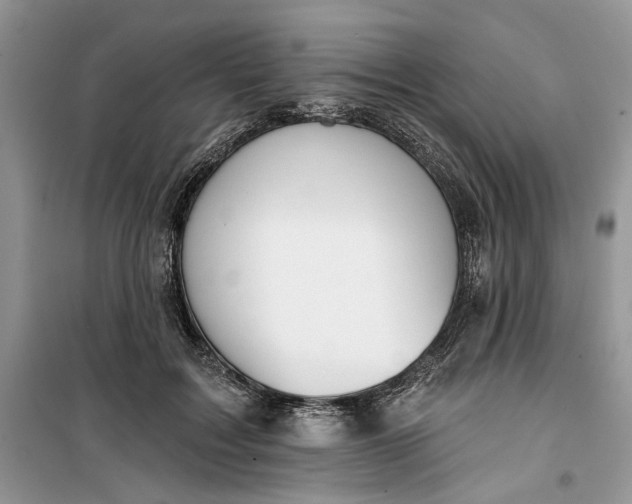 X0000099520603200805291213