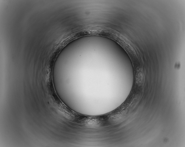 X0000099520604200805291213