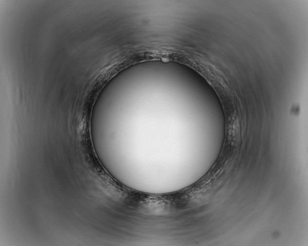 X0000099520608200805291212