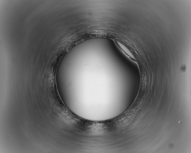 X0000099520609200805291212