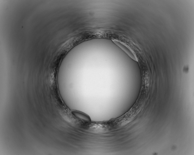 X0000099520611200805291212