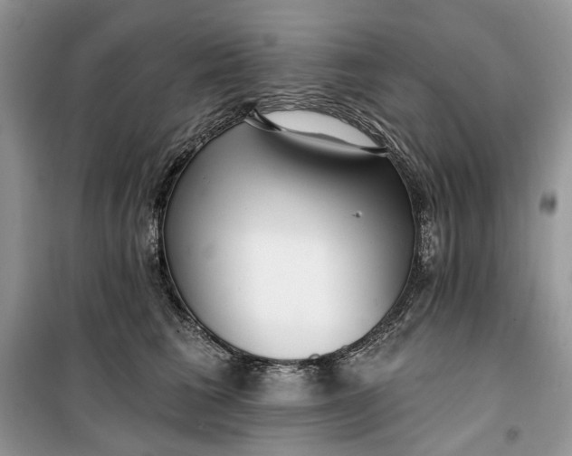 X0000099520613200805291212