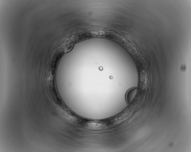 X0000099520614200805291212