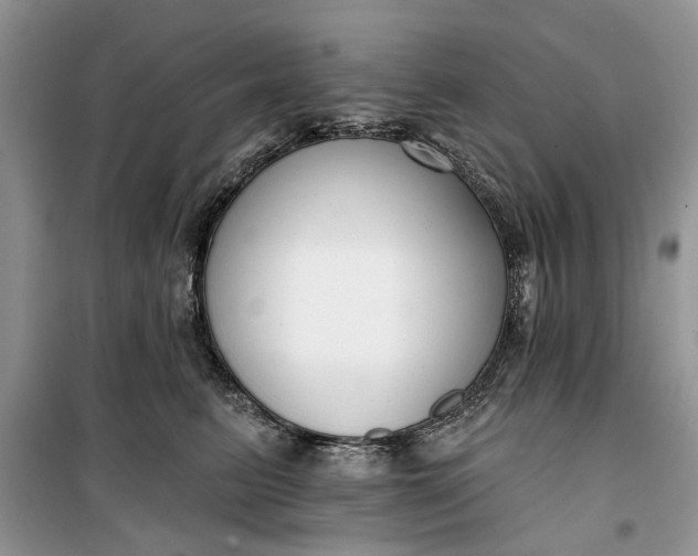 X0000099520615200805291212