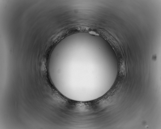 X0000099520616200805291212