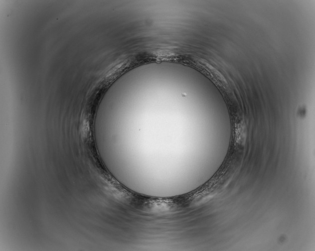 X0000099520618200805291212