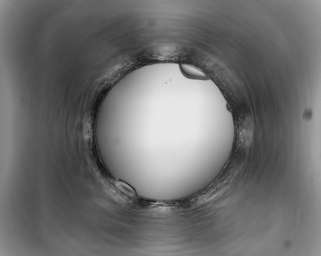 X0000099520620200805291212