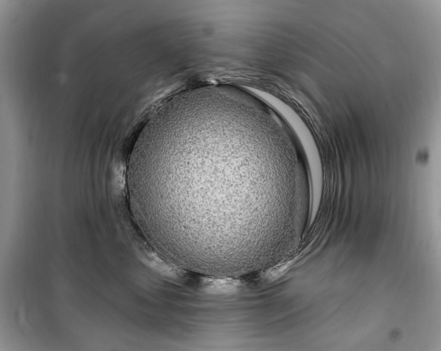 X0000099520621200805291212