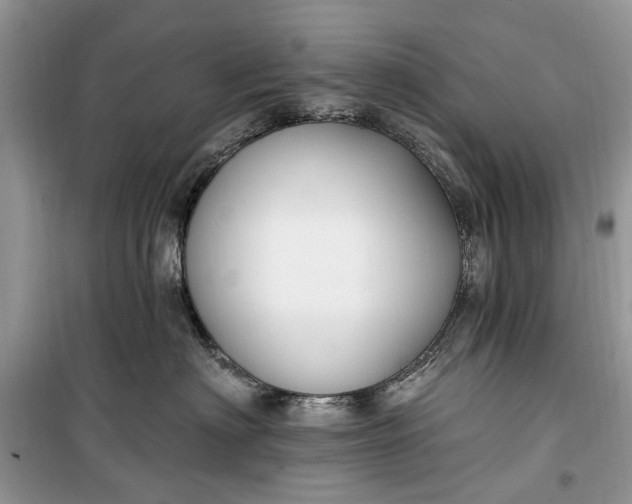 X0000099520622200805291212