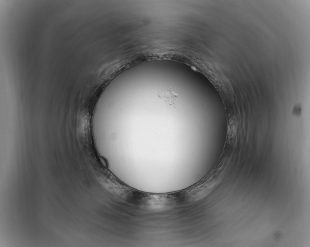 X0000099520623200805291212