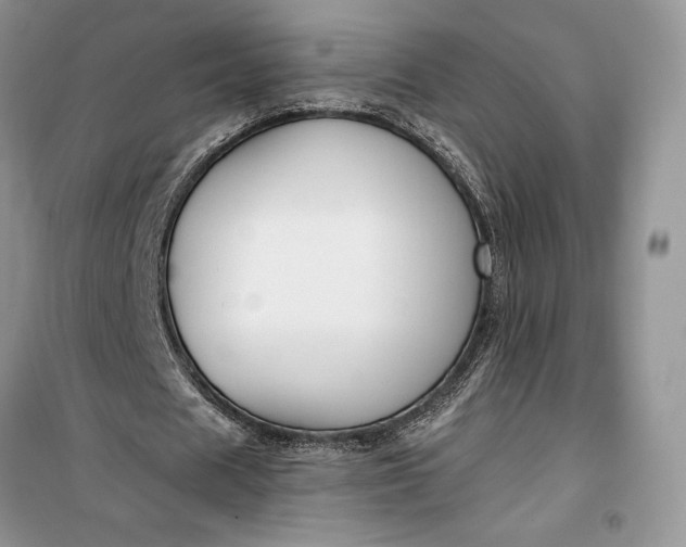 X0000099520625200805291211