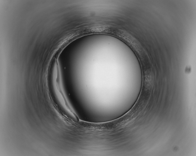 X0000099520626200805291212