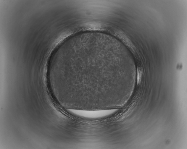 X0000099520627200805291212