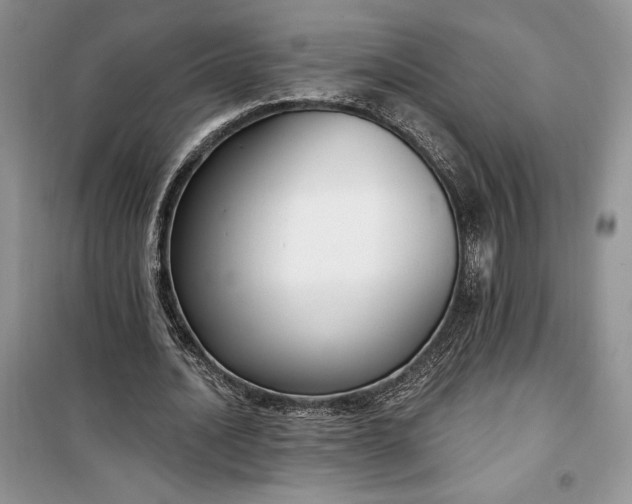 X0000099520628200805291212