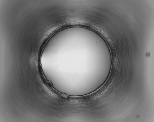 X0000099520629200805291212