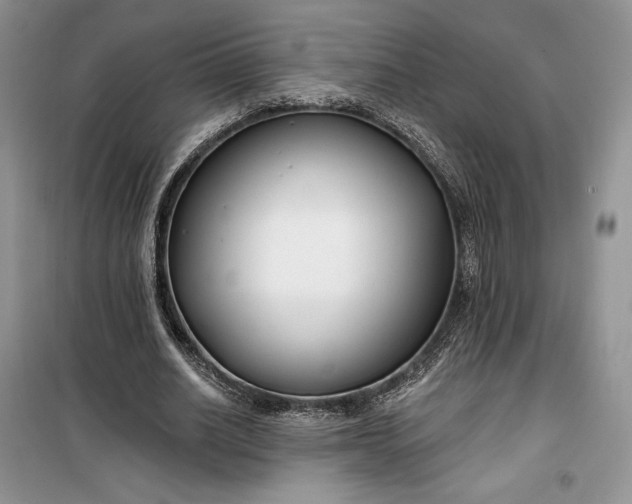 X0000099520630200805291212