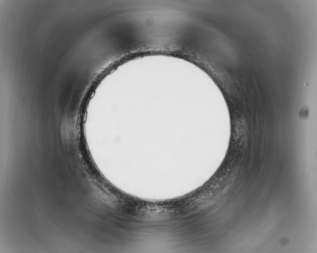 X0000099520632200805291212