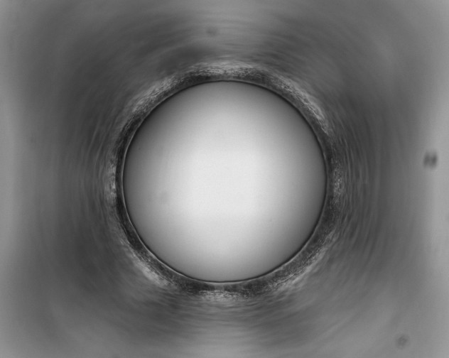 X0000099520633200805291212