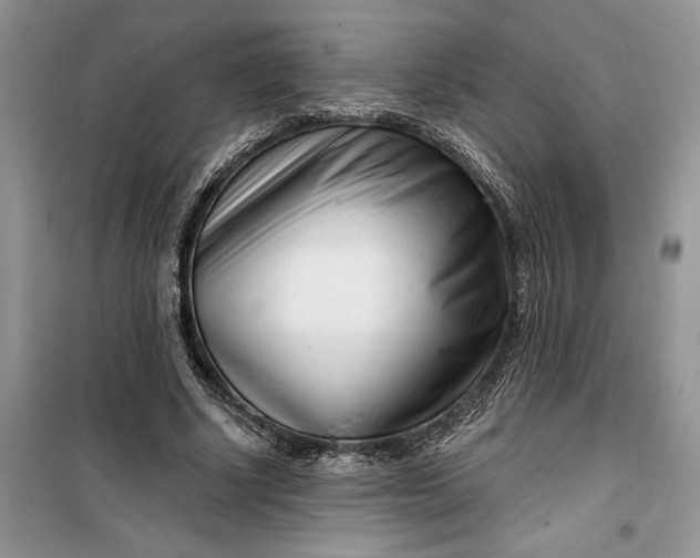 X0000099520634200805291212