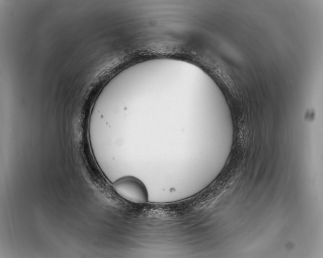 X0000099520635200805291212