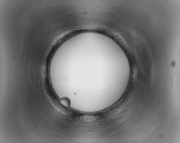 X0000099520636200805291212