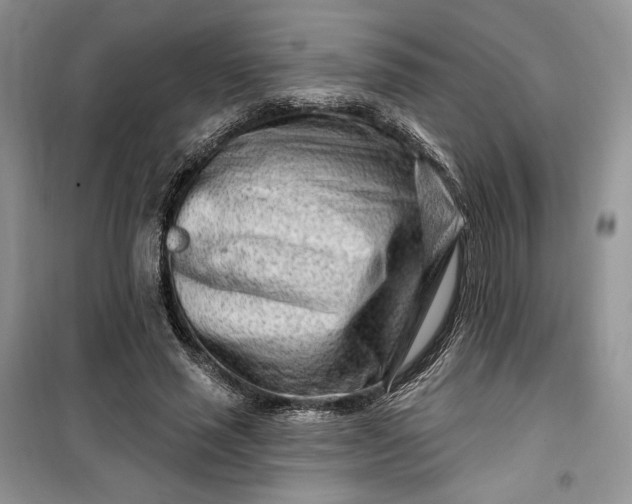 X0000099520637200805291212