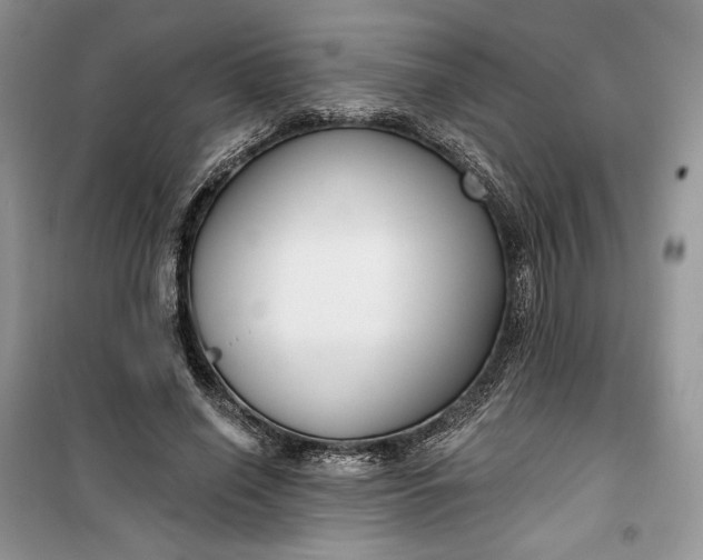 X0000099520638200805291212