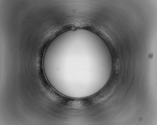 X0000099520639200805291212