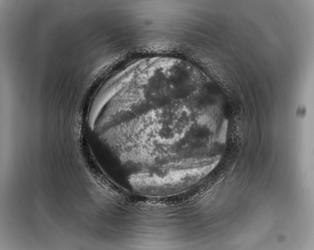 X0000099520640200805291212