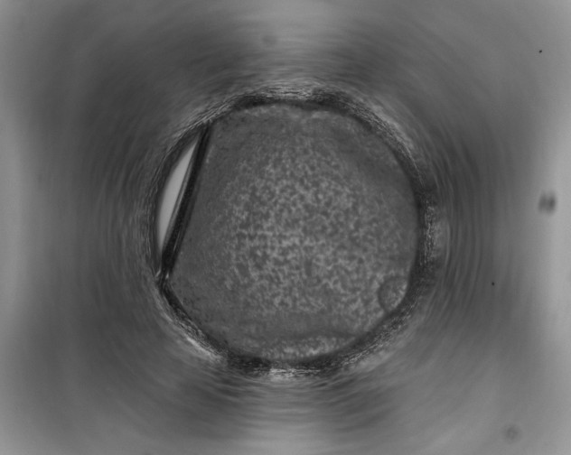 X0000099520641200805291212