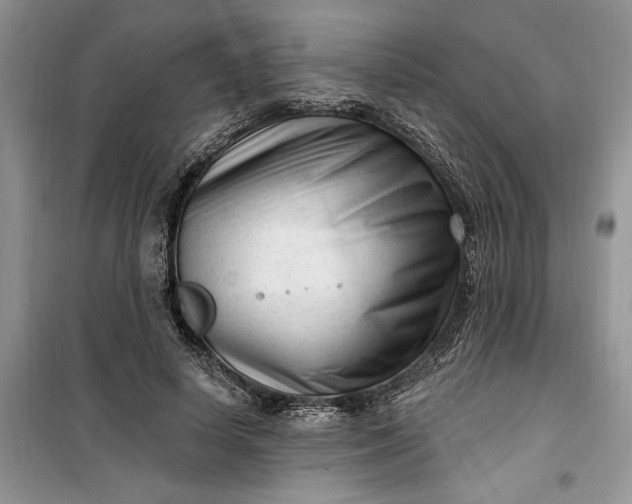 X0000099520642200805291212