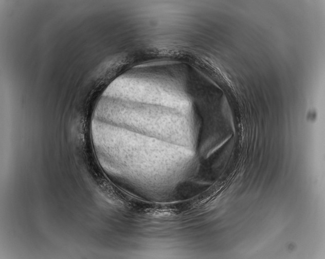 X0000099520643200805291212