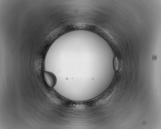 X0000099520645200805291212