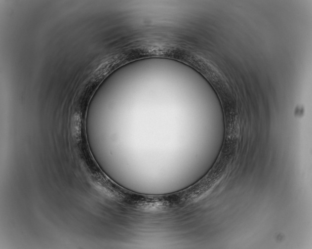 X0000099520646200805291212