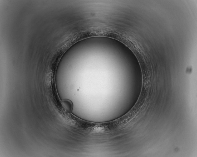 X0000099520647200805291212