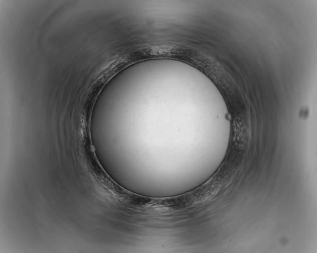 X0000099520648200805291212