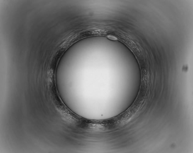 X0000099520649200805291212