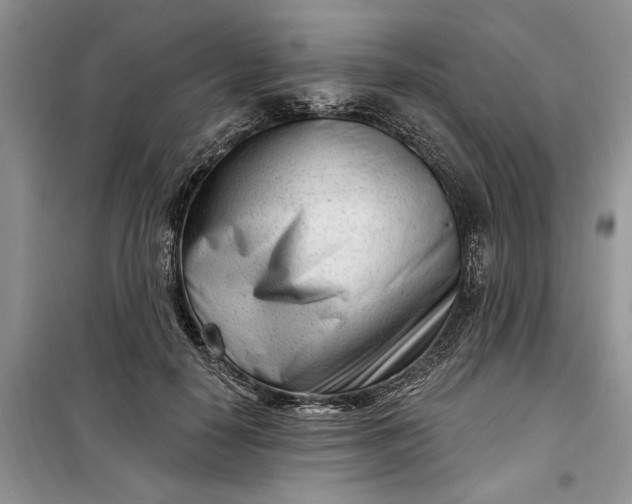 X0000099520650200805291212