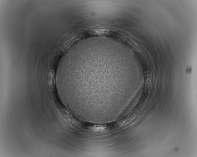 X0000099520651200805291212