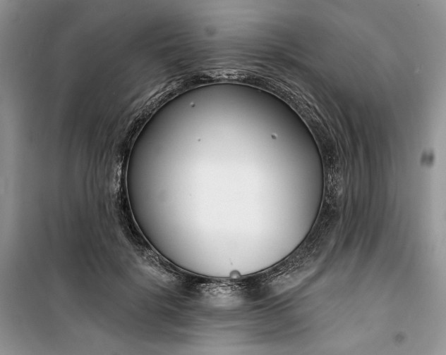 X0000099520652200805291212