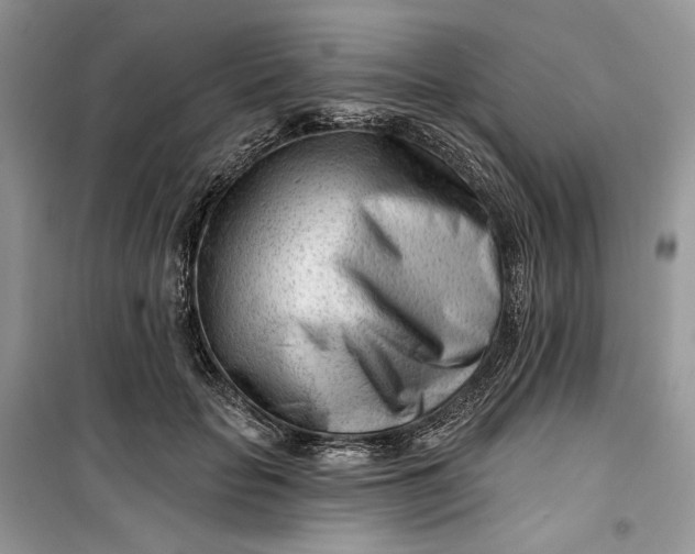 X0000099520653200805291212