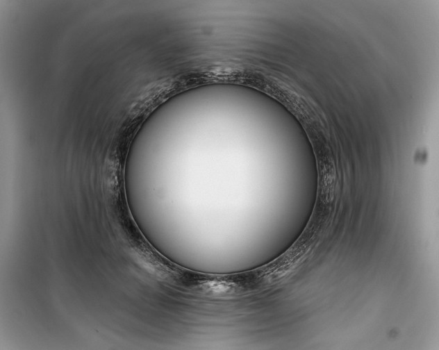 X0000099520654200805291212