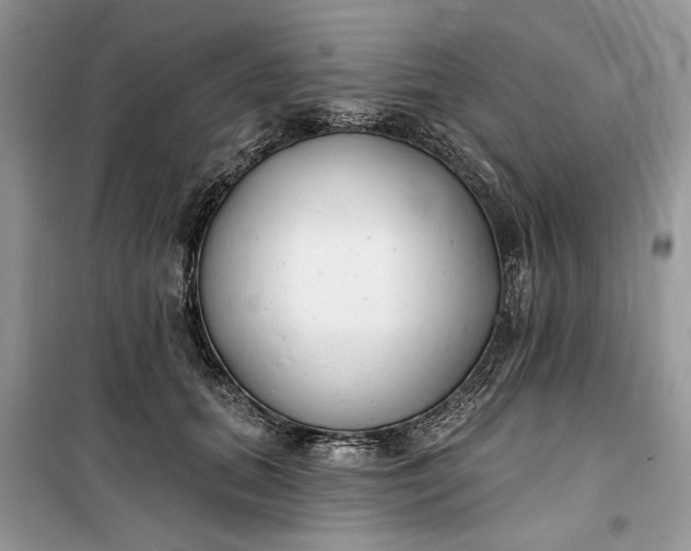 X0000099520655200805291212