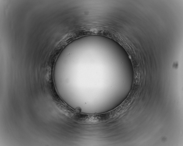 X0000099520656200805291212