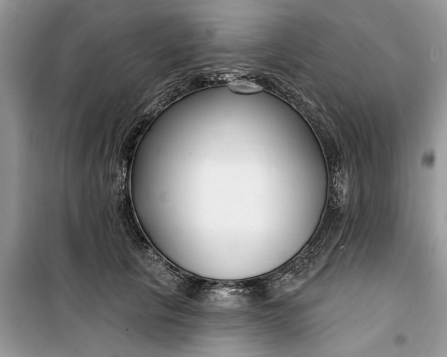 X0000099520657200805291212