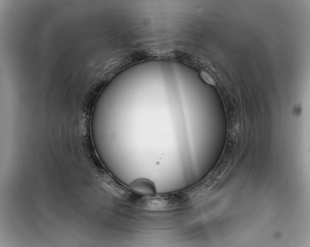 X0000099520658200805291212